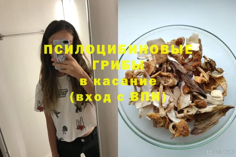 Галлюциногенные грибы MAGIC MUSHROOMS  Николаевск 